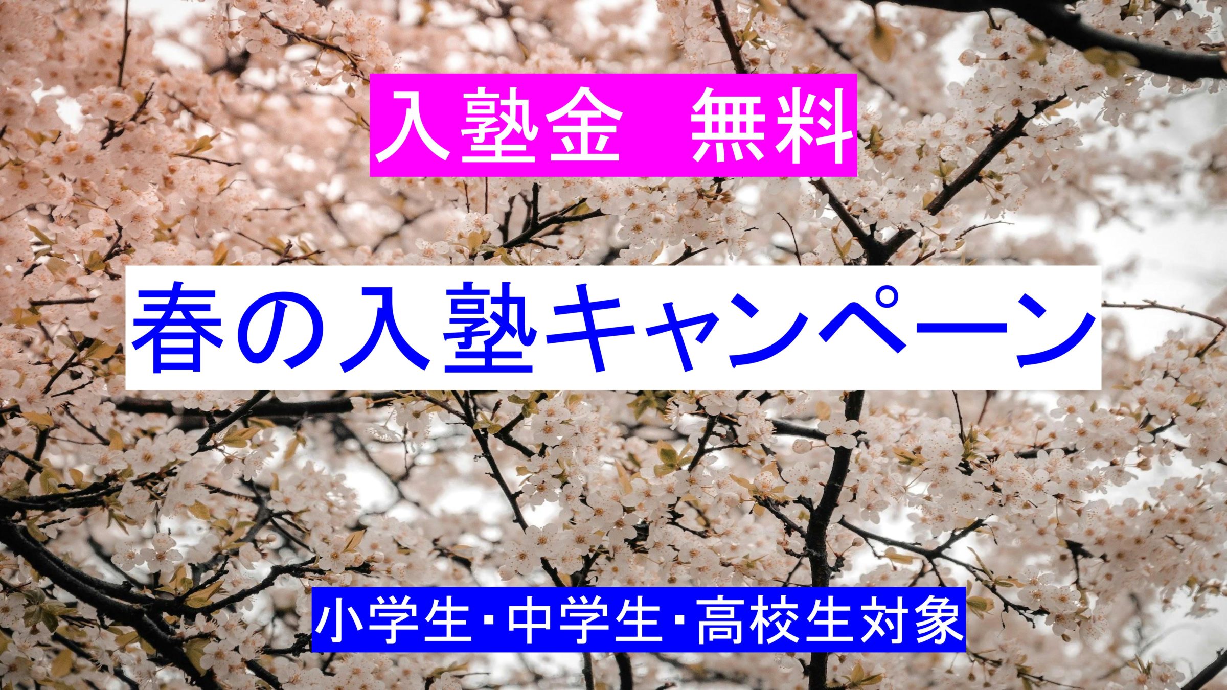 新春入塾キャンペーン入塾金無料
